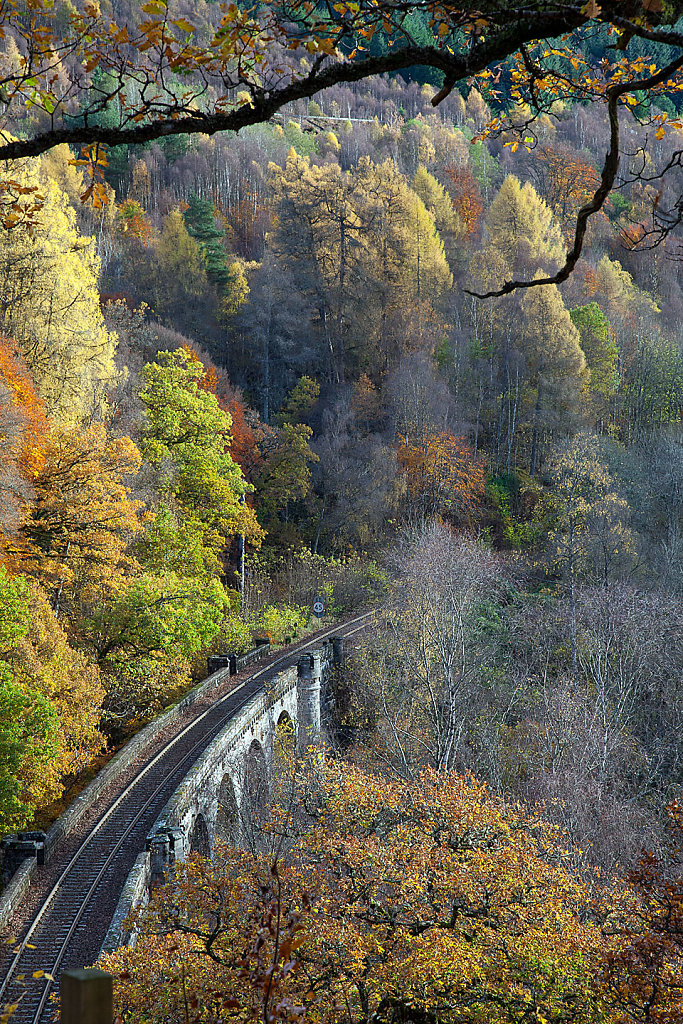 Autumn rails